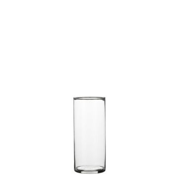 Glass vase , 1041811