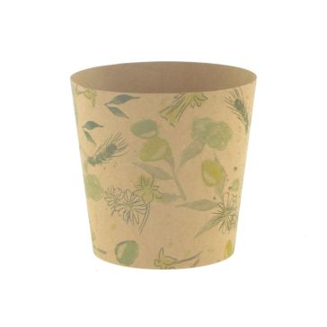 Decorative packaging for plant , M50180