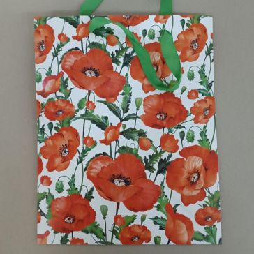 Gift bag , AGB1017105