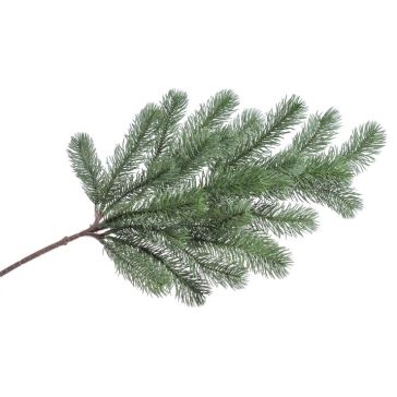 Dekoratīvs zars , 97CAN0007