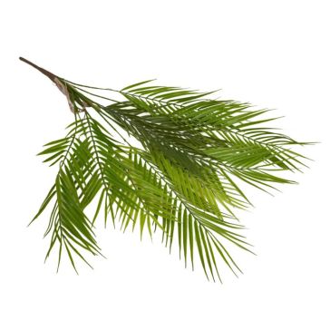 Artificial flower, CER2030222105