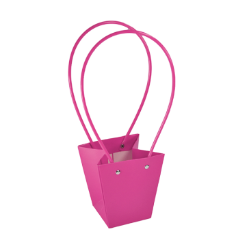 Gift bag, PAP11
