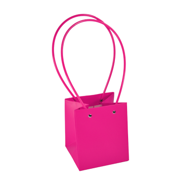 Gift bag, PAP21