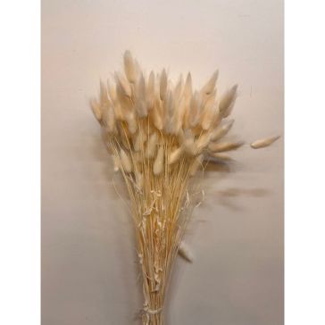 Dekoratīvs lagurus, 100gr, lag100bianco