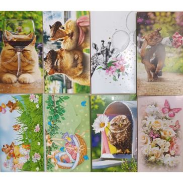 Подарочный денежный конверт, 05-38