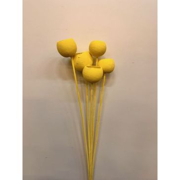 Kaltēti ziedi - Bell cup, BCOS5GS