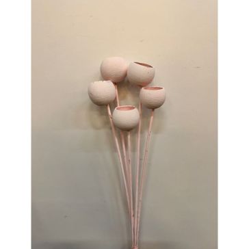 Kaltēti ziedi - Bell cup, BCOS5ROSAS