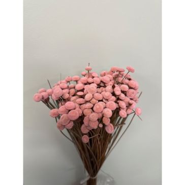 Сухоцветы - Botao, 100gr, BOT100ROSA
