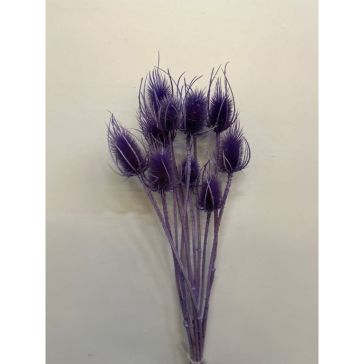 Kaltēti ziedi - Cardi Palustri, CP10LILLA
