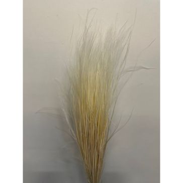 Kaltēti ziedi - Stipa Pennata, 50gr, STI50BIA