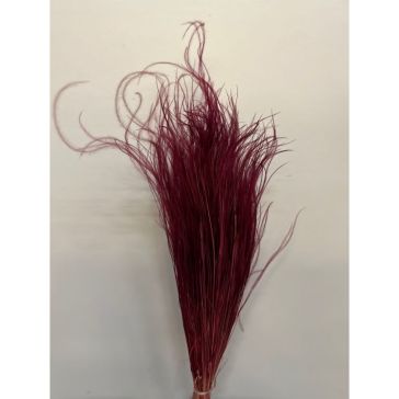 Kaltēti ziedi - Stipa Pennata, 50gr, STI50BORD