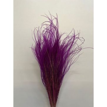 Kaltēti ziedi - Stipa Pennata, 50gr, STI50ERIKA