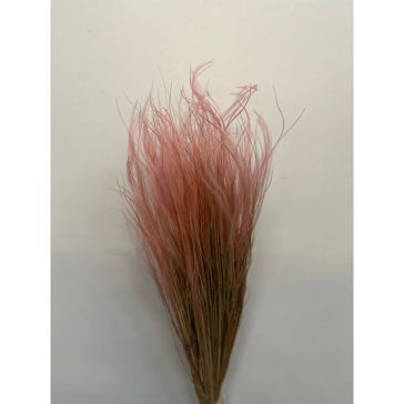 Kaltēti ziedi - Stipa Pennata, 50gr, STI50ROSA