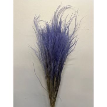 Kaltēti ziedi - Stipa Pennata, 50gr, STI50LILLA