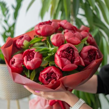 Букет пионов  RED CHARM