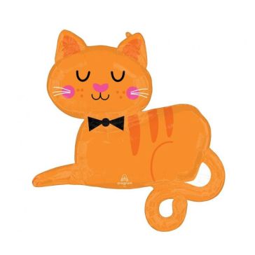 Фольгированный воздушный шар Orange Cat, 4701901