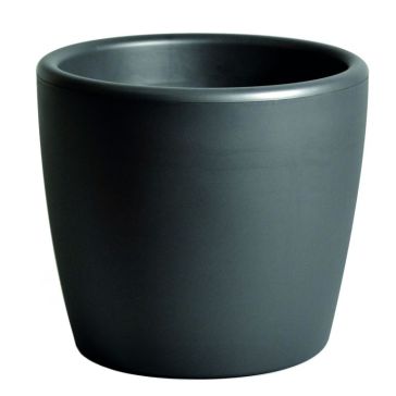 Decorative flower pot Essence, 23806