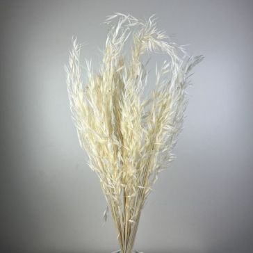 Kaltētas savvaļas auzas 100gr, AS100BIA