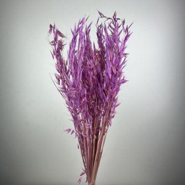 Kaltētas savvaļas auzas 100gr, AS100FLID