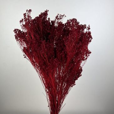 Dried flowers - Broom bloom 100gr, BRO100ROSSO