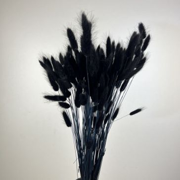 Kaltēts lagurus 100gr, LAG100NERO