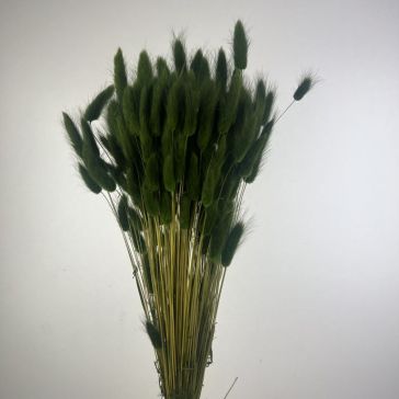 Kaltēts lagurus 100gr, LAG100VBOSCO