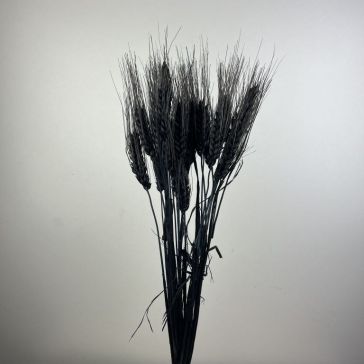 Kaltētas graudzāles - Grano con baffo 100gr, GB100NER