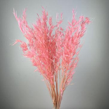 Kaltētas savvaļas auzas 100gr, AS100ROSA