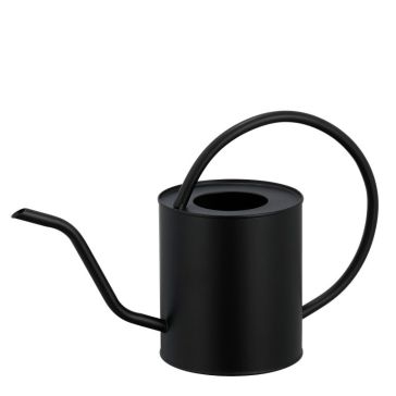 Metal watering-can, 1184694