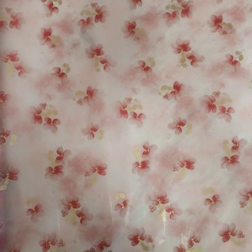 Folija caurspidīga, P1m, G25m, B-W10XX-XL2BO