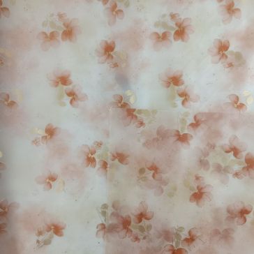 Folija caurspidīga, P1m, G25m, B-W10XX-XL2RA