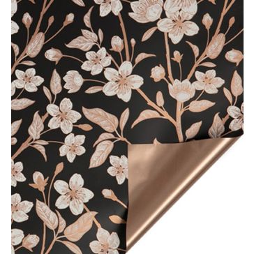 Foil, P100cm, G25m, B-V80PM-KL2NE