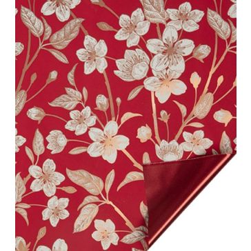 Foil, P100cm, G25m, B-V80PM-KL2RO