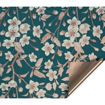 Foil, P100cm, G25m, B-V80PM-KL2VE