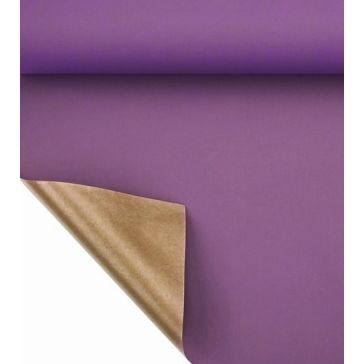 Folija, P80cm, G25m, B-T63SR-LOPMZ