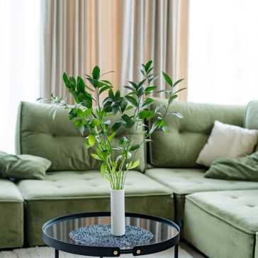 Ветви руссуса – Израиль