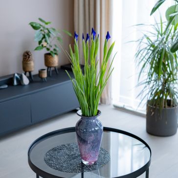 Īrisi - Hong Kong 10GAB