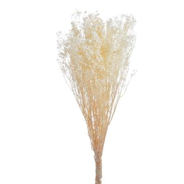 Dryed flowers - Gypsophila 100gr, 351CAN004_W