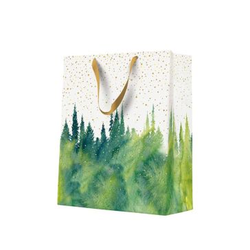 Dāvanu maisiņš, AGB2013405