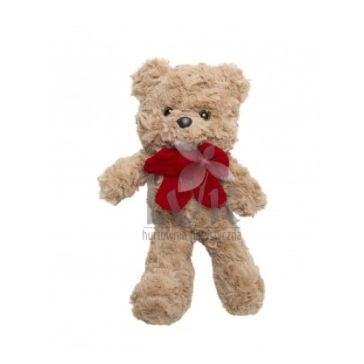 Медведь, H2404077