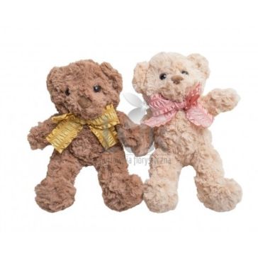 Медведь, H2504519MIX