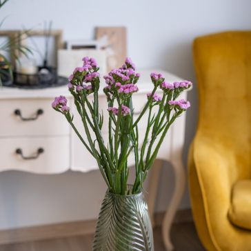 Limonias (double) - pink 10PCS