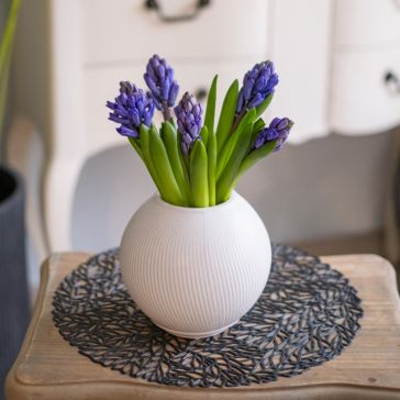 Hiacintes - zilas 5GAB