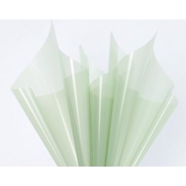 Folija, caurspīdīga, loksnēs, GSHM015-08