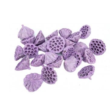 Декоративный лотос, HURT-2026