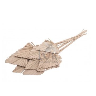 Пальмовая ветвь, V-0107