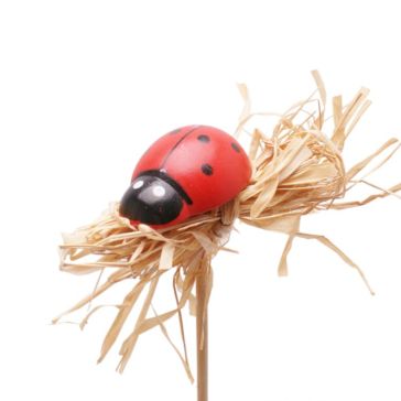 Mārīte 3.5cm uz kociņa 50 cm, K31250