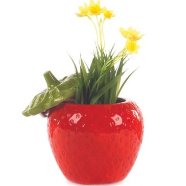 Dekoratīvs trauks ar vāku Zemene, 61061