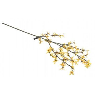 Forsītijas zars, GSF0270-3-1