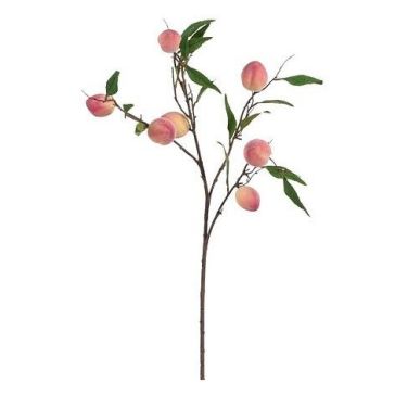 Ветка чернослива, 1165050